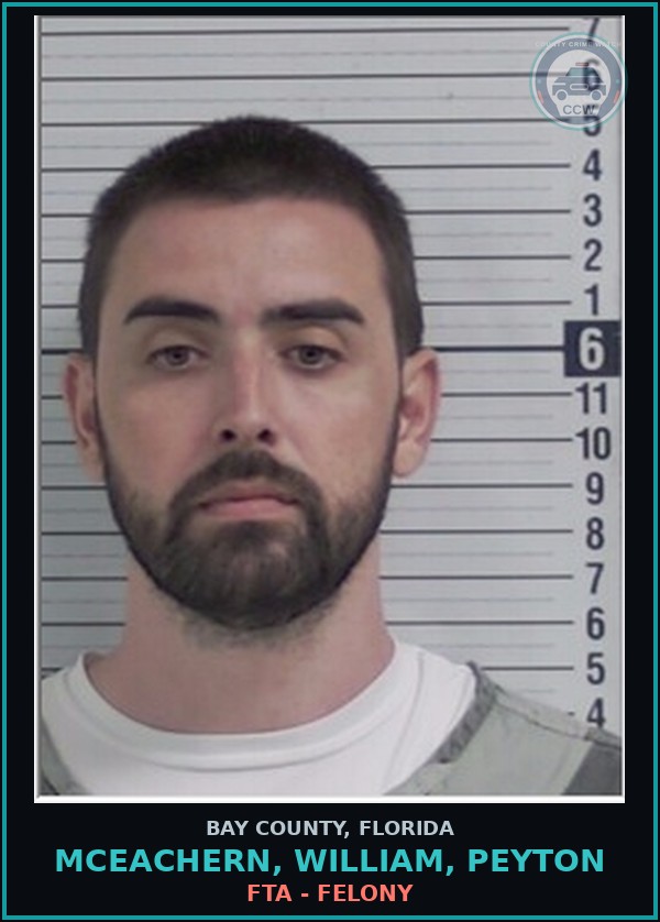 Booking mugshot of MCEACHERN, WILLIAM, PEYTON in Bay County