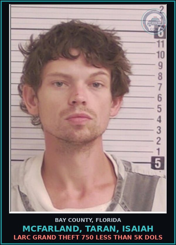 Booking mugshot of MCFARLAND, TARAN, ISAIAH in Bay County