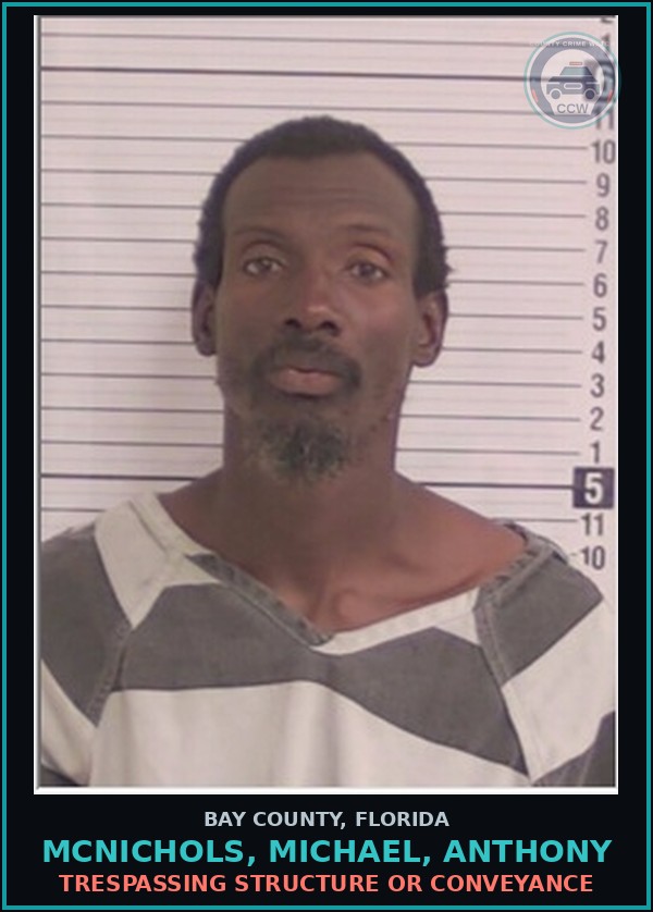 Booking mugshot of MCNICHOLS, MICHAEL, ANTHONY in Bay County
