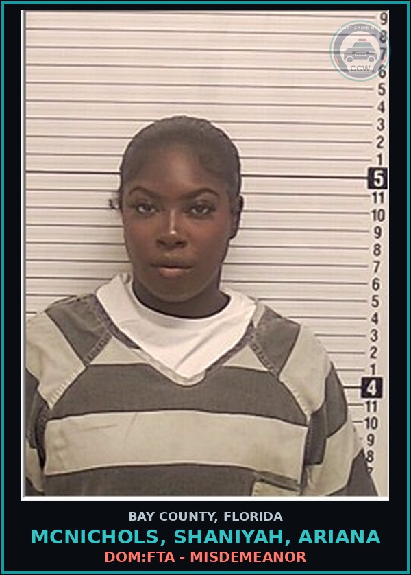 Booking mugshot of MCNICHOLS, SHANIYAH, ARIANA in Bay County