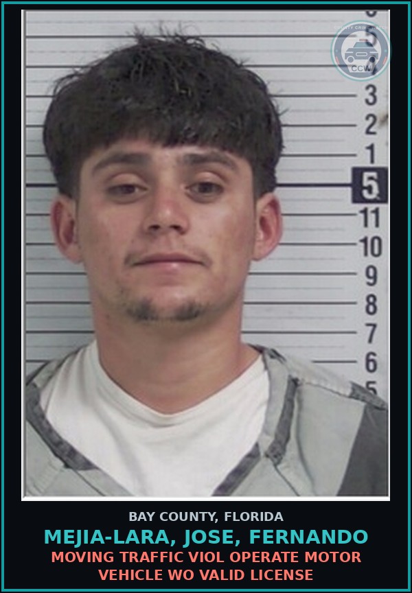 Booking mugshot of MEJIA-LARA, JOSE, FERNANDO in Bay County
