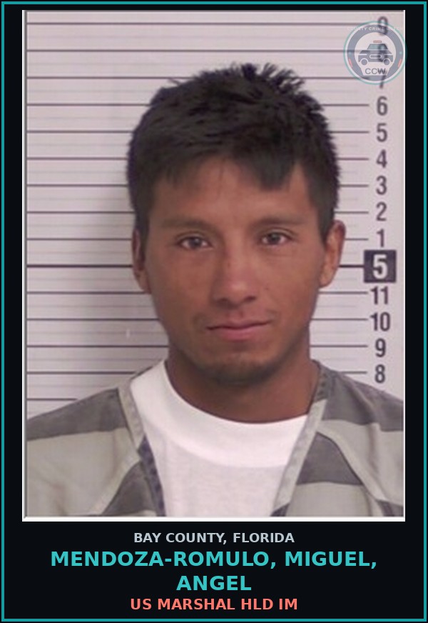 Booking mugshot of MENDOZA-ROMULO, MIGUEL, ANGEL in Bay County
