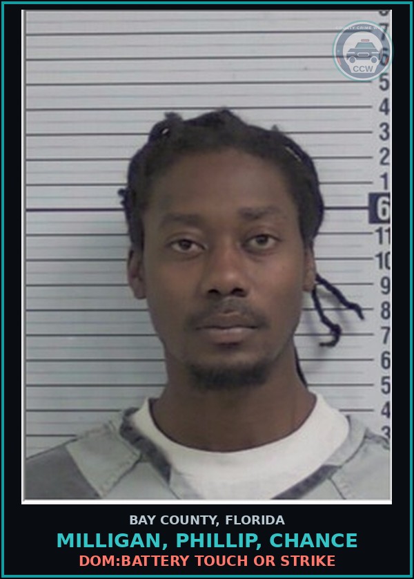 Booking mugshot of MILLIGAN, PHILLIP, CHANCE in Bay County