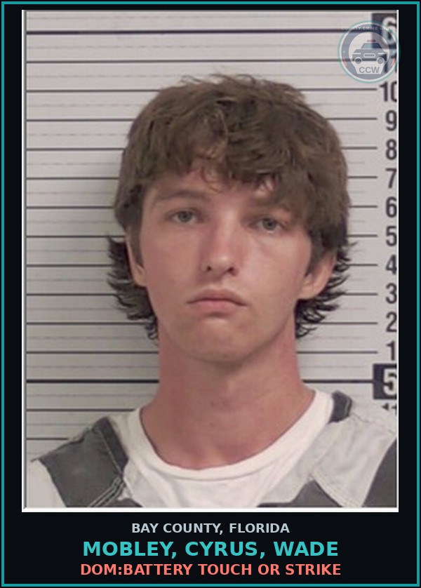 Booking mugshot of MOBLEY, CYRUS, WADE in Bay County