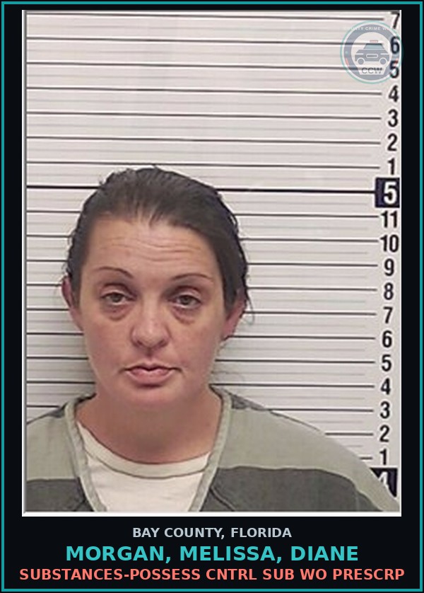 Booking mugshot of MORGAN, MELISSA, DIANE in Bay County