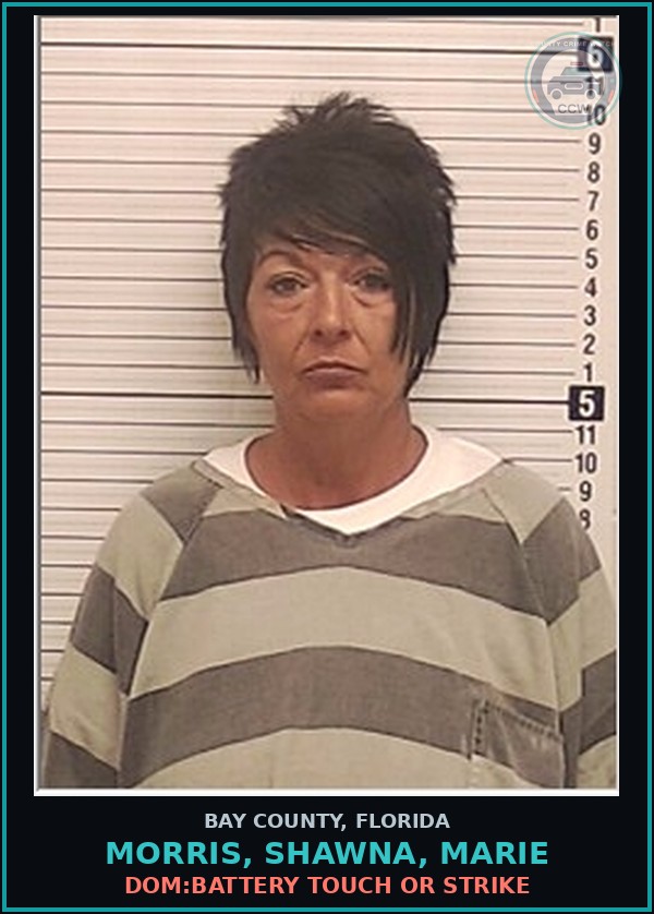 Booking mugshot of MORRIS, SHAWNA, MARIE in Bay County