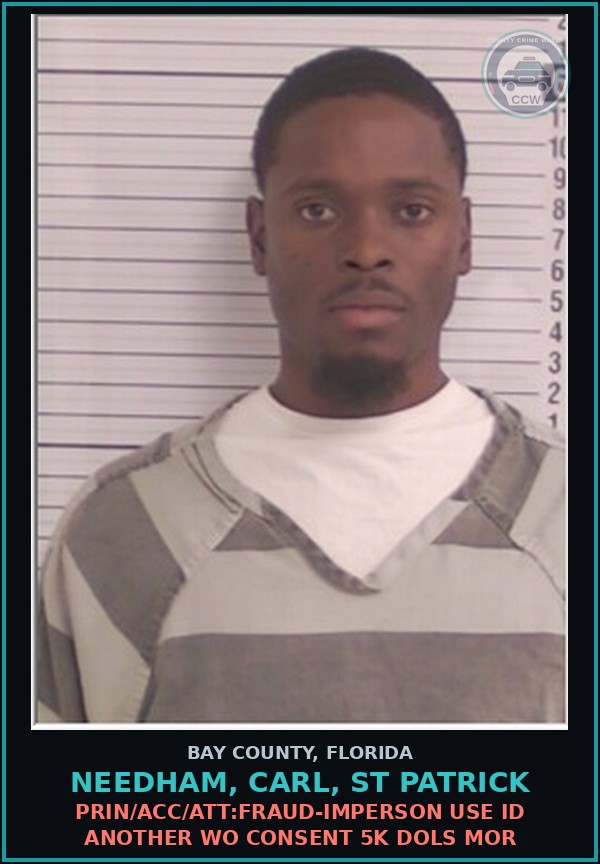 Booking mugshot of NEEDHAM, CARL, ST PATRICK in Bay County