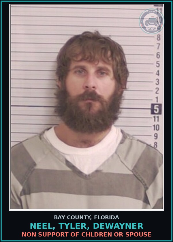 Booking mugshot of NEEL, TYLER, DEWAYNER in Bay County