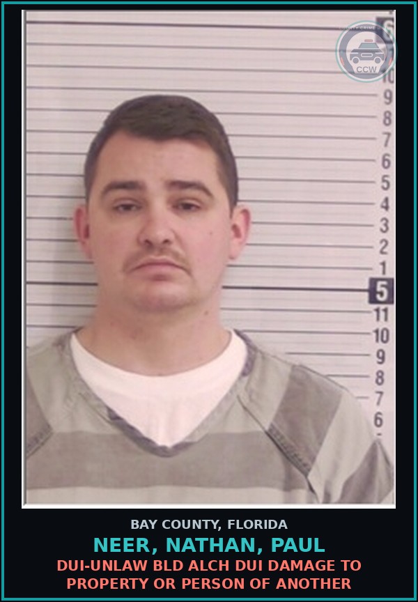 Booking mugshot of NEER, NATHAN, PAUL in Bay County