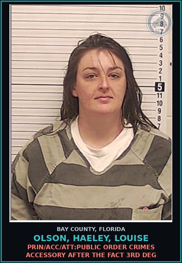 Booking mugshot of OLSON, HAELEY, LOUISE in Bay County
