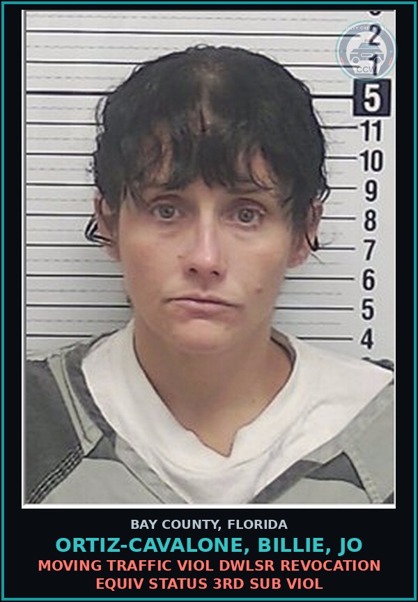Booking mugshot of ORTIZ-CAVALONE, BILLIE, JO in Bay County