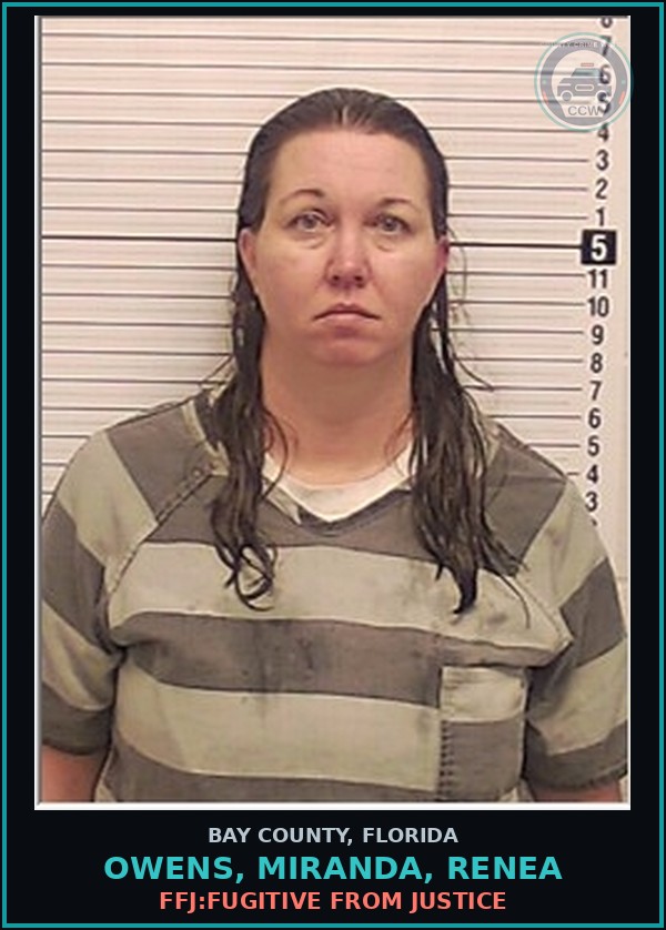 Booking mugshot of OWENS, MIRANDA, RENEA in Bay County