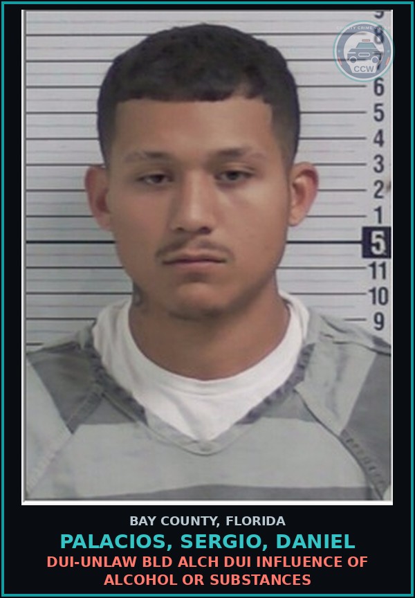 Booking mugshot of PALACIOS, SERGIO, DANIEL in Bay County