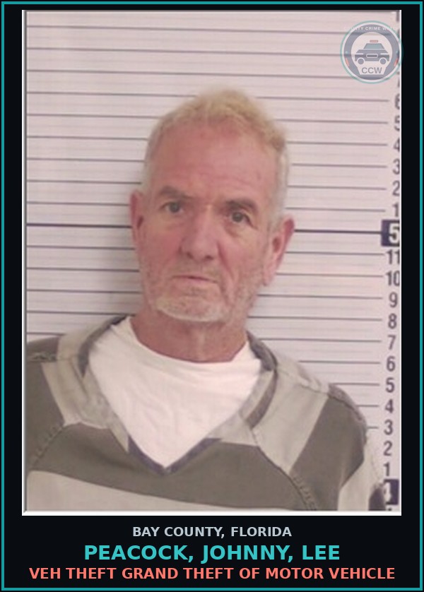 Booking mugshot of PEACOCK, JOHNNY, LEE in Bay County