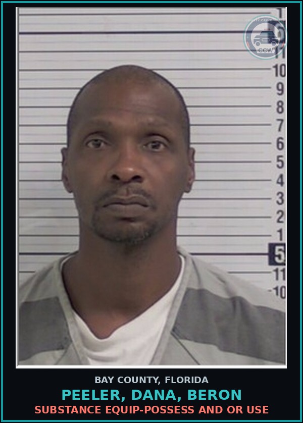 Booking mugshot of PEELER, DANA, BERON in Bay County