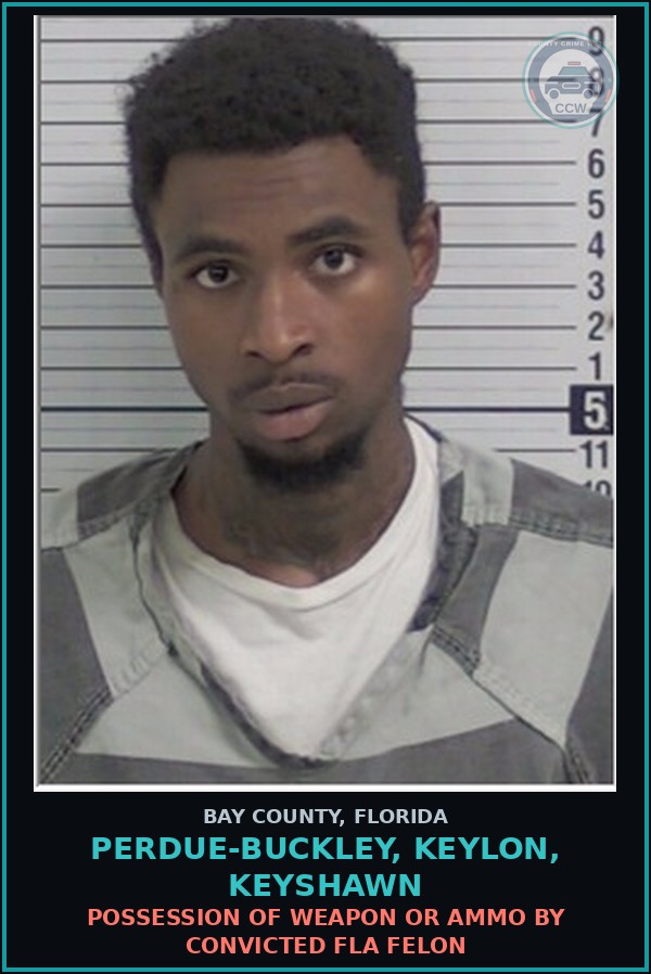 Booking mugshot of PERDUE-BUCKLEY, KEYLON, KEYSHAWN in Bay County