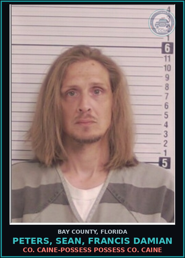 Booking mugshot of PETERS, SEAN, FRANCIS DAMIAN in Bay County