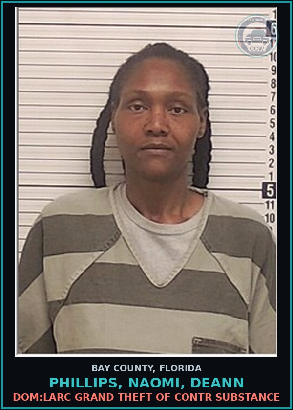 Booking mugshot of PHILLIPS, NAOMI, DEANN in Bay County