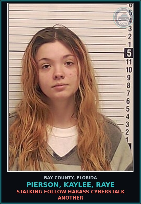 Booking mugshot of PIERSON, KAYLEE, RAYE in Bay County