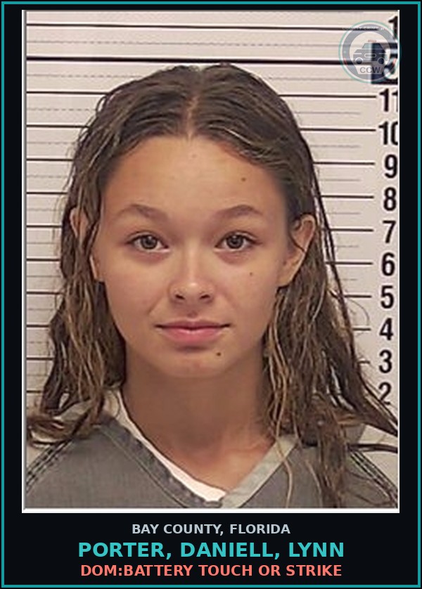 Booking mugshot of PORTER, DANIELL, LYNN in Bay County