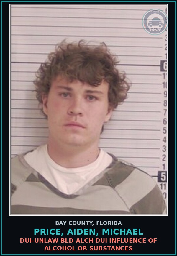 Booking mugshot of PRICE, AIDEN, MICHAEL in Bay County