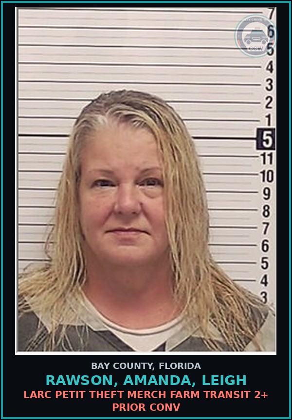Booking mugshot of RAWSON, AMANDA, LEIGH in Bay County