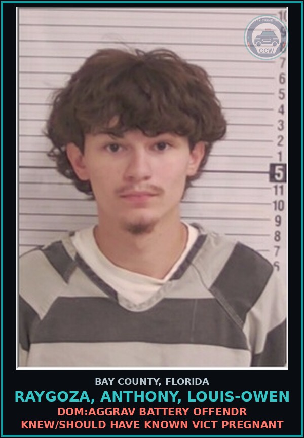 Booking mugshot of RAYGOZA, ANTHONY, LOUIS-OWEN in Bay County