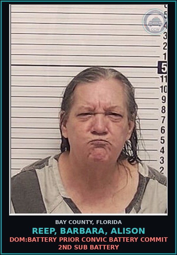 Booking mugshot of REEP, BARBARA, ALISON in Bay County