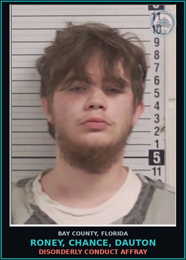 Booking mugshot of RONEY, CHANCE, DAUTON in Bay County