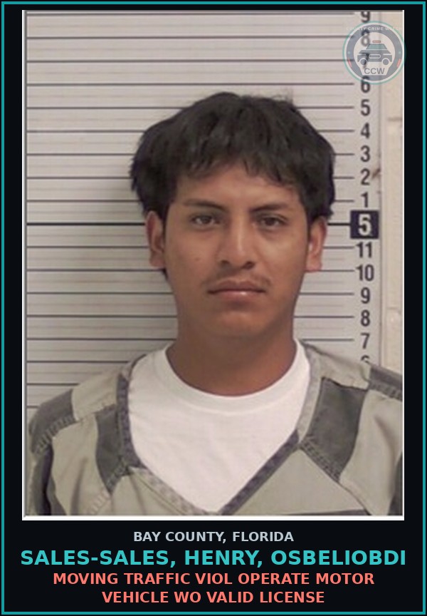 Booking mugshot of SALES-SALES, HENRY, OSBELIOBDI in Bay County