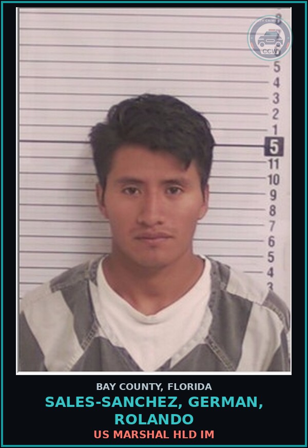 Booking mugshot of SALES-SANCHEZ, GERMAN, ROLANDO in Bay County