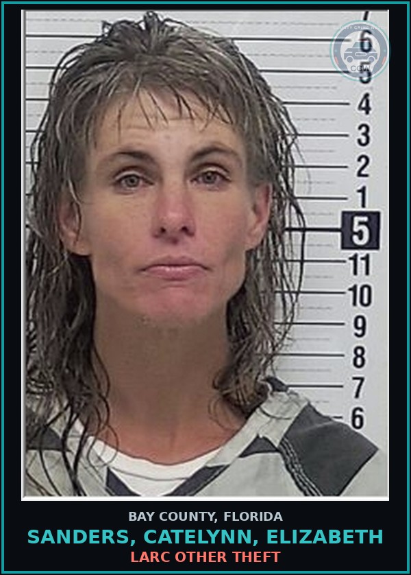 Booking mugshot of SANDERS, CATELYNN, ELIZABETH in Bay County