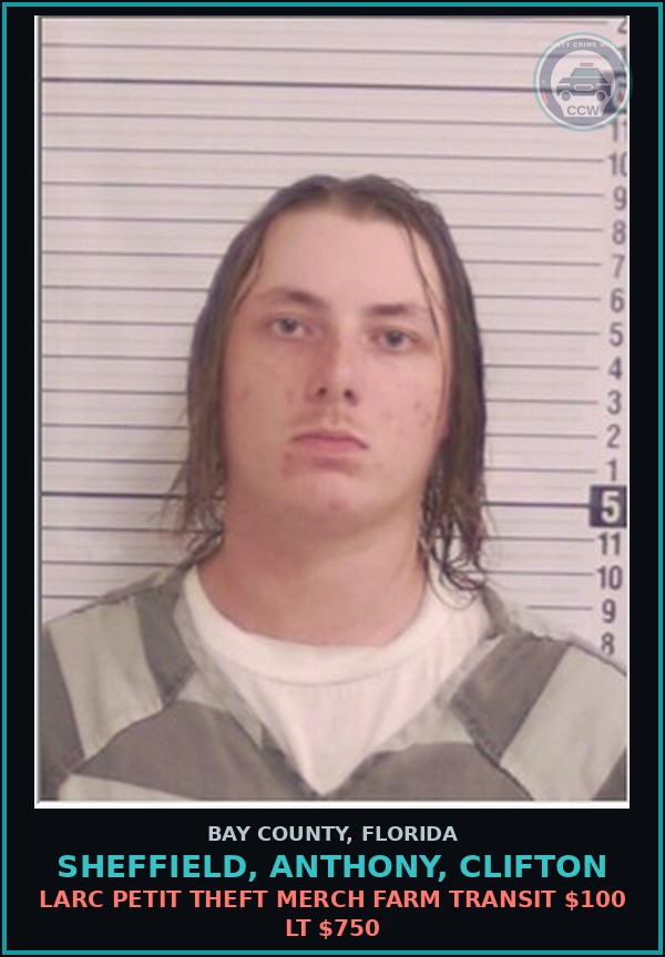 Booking mugshot of SHEFFIELD, ANTHONY, CLIFTON in Bay County