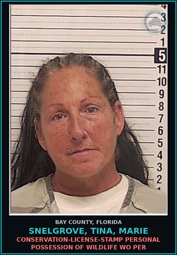 Booking mugshot of SNELGROVE, TINA, MARIE in Bay County