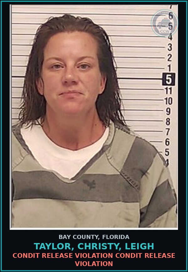 Booking mugshot of TAYLOR, CHRISTY, LEIGH in Bay County