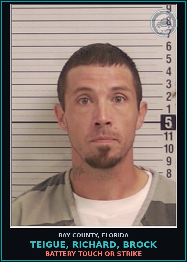 Booking mugshot of TEIGUE, RICHARD, BROCK in Bay County