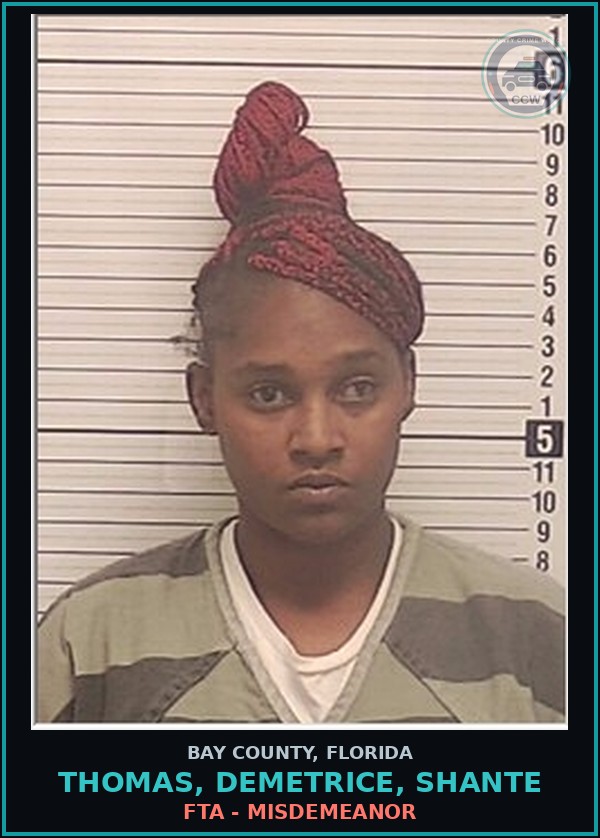 Booking mugshot of THOMAS, DEMETRICE, SHANTE in Bay County