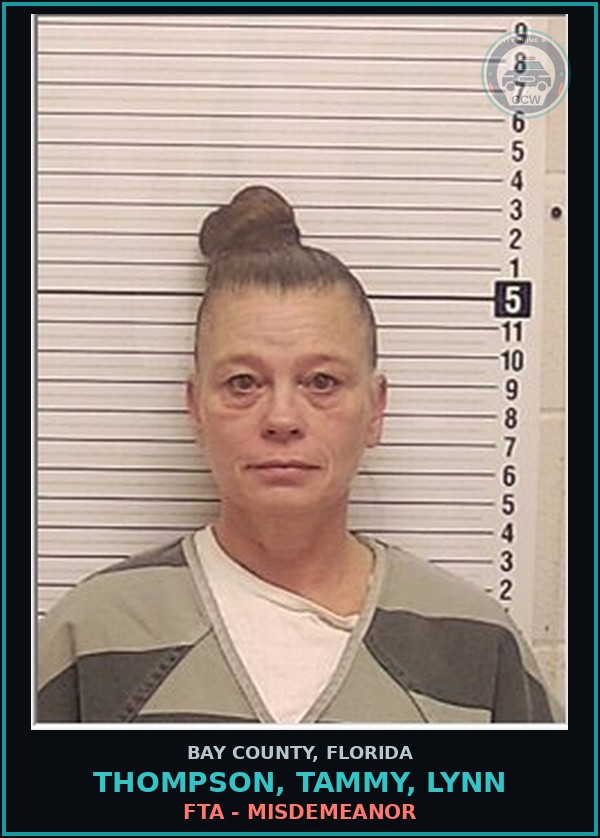 Booking mugshot of THOMPSON, TAMMY, LYNN in Bay County