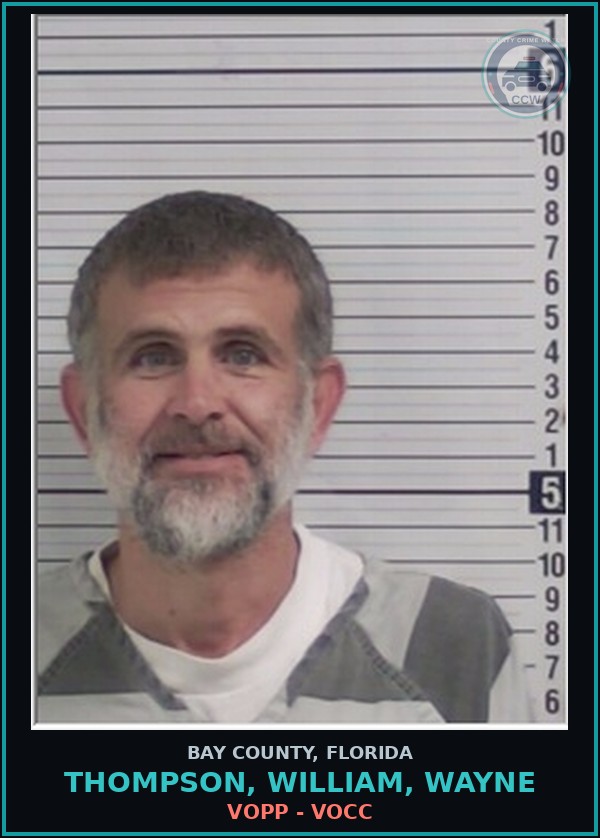Booking mugshot of THOMPSON, WILLIAM, WAYNE in Bay County