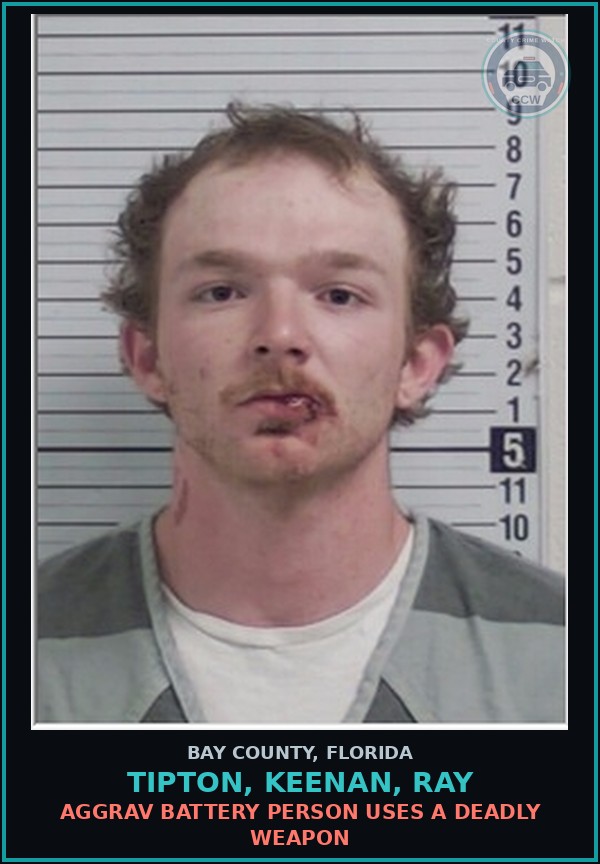 Booking mugshot of TIPTON, KEENAN, RAY in Bay County
