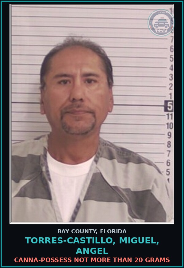 Booking mugshot of TORRES-CASTILLO, MIGUEL, ANGEL in Bay County