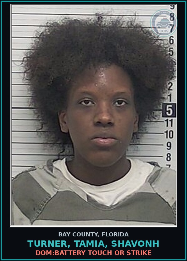 Booking mugshot of TURNER, TAMIA, SHAVONH in Bay County