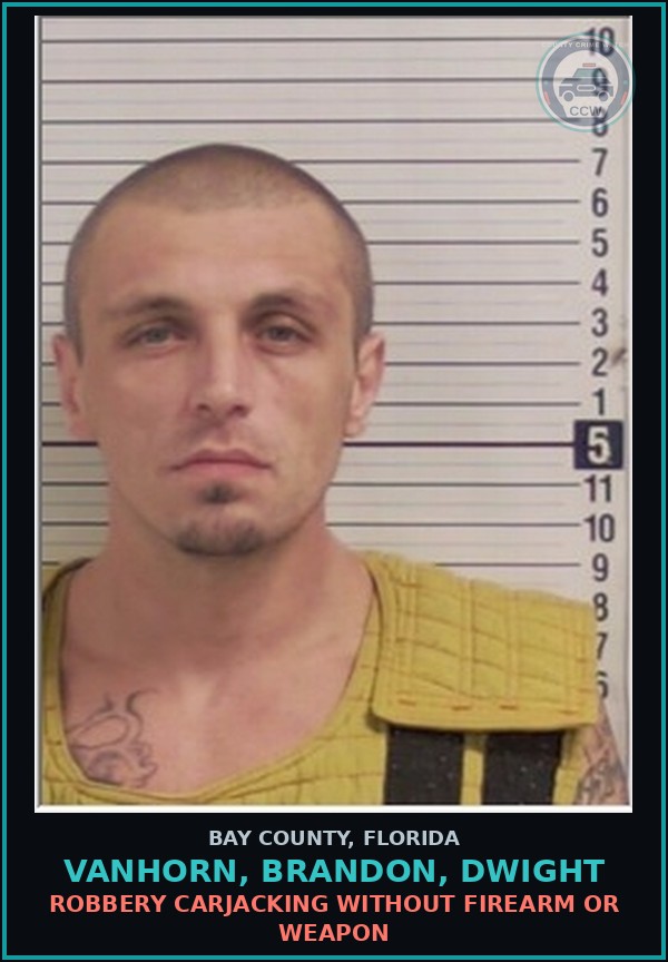 Booking mugshot of VANHORN, BRANDON, DWIGHT in Bay County