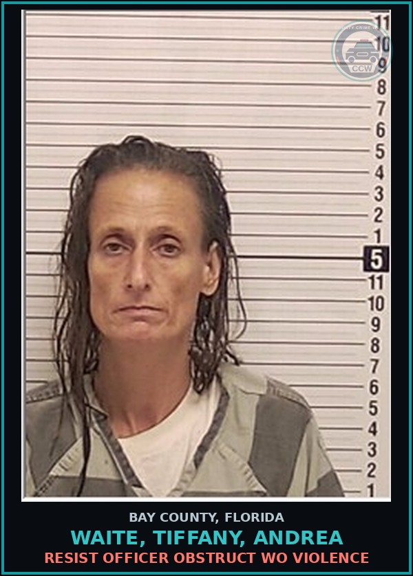 Booking mugshot of WAITE, TIFFANY, ANDREA in Bay County