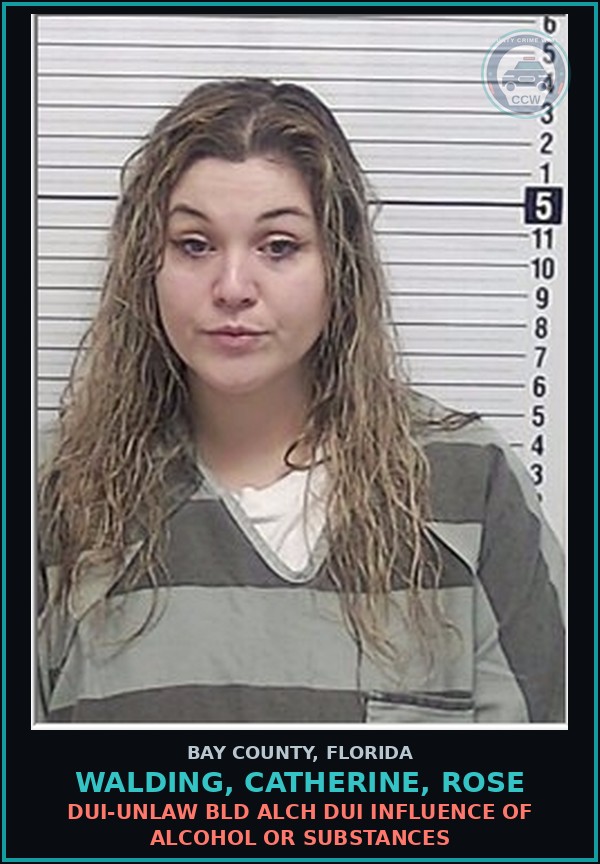 Booking mugshot of WALDING, CATHERINE, ROSE in Bay County