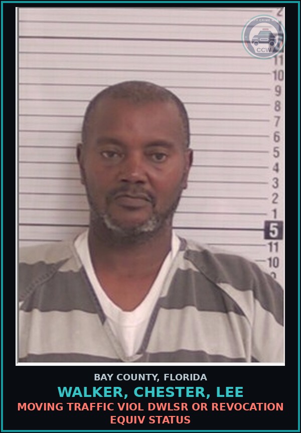 Booking mugshot of WALKER, CHESTER, LEE in Bay County