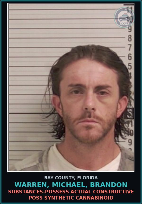 Booking mugshot of WARREN, MICHAEL, BRANDON in Bay County