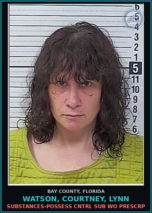 Booking mugshot of WATSON, COURTNEY, LYNN in Bay County