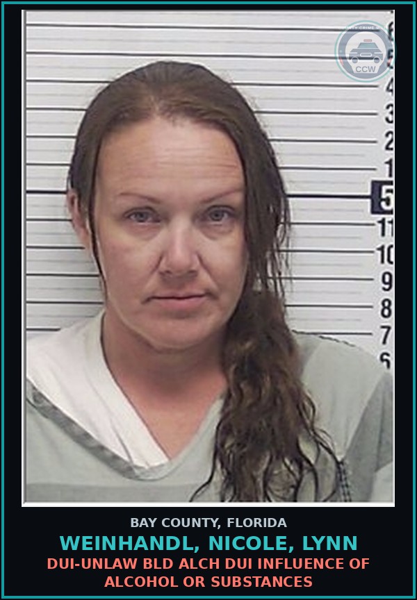 Booking mugshot of WEINHANDL, NICOLE, LYNN in Bay County