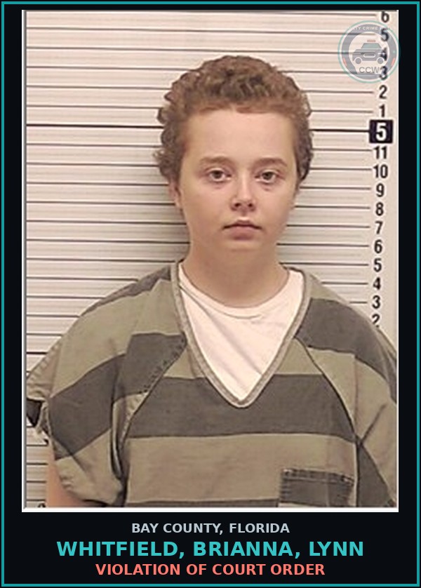 Booking mugshot of WHITFIELD, BRIANNA, LYNN in Bay County